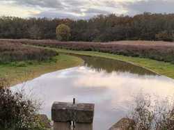  <a style='color: #fff;' href='/uploaded/photo/1001-histoires-des-etangs-de-la-dombes-63774b3be24fc.jpg'>(Télécharger)</a>