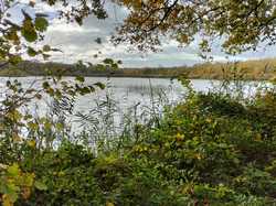  <a style='color: #fff;' href='/uploaded/photo/1001-histoires-des-etangs-de-la-dombes-63774b3c445c1.jpg'>(Télécharger)</a>