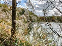  <a style='color: #fff;' href='/uploaded/photo/1001-histoires-des-etangs-de-la-dombes-63774b3c8b609.jpg'>(Télécharger)</a>