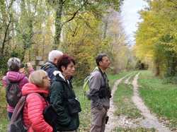  <a style='color: #fff;' href='/uploaded/photo/1001-histoires-des-etangs-de-la-dombes-63774b3cda0e3.jpg'>(Télécharger)</a>