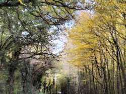  <a style='color: #fff;' href='/uploaded/photo/1001-histoires-des-etangs-de-la-dombes-63774b3d4705f.jpg'>(Télécharger)</a>