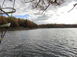  <a style='color: #fff;' href='/uploaded/photo/1001-histoires-des-etangs-de-la-dombes-637754a7aa2d9.jpg'>(Télécharger)</a>