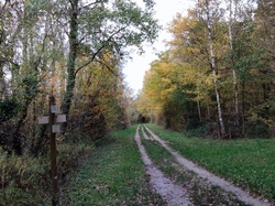  <a style='color: #fff;' href='/uploaded/photo/1001-histoires-des-etangs-de-la-dombes-6377557a77c7c.jpg'>(Télécharger)</a>