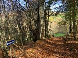  <a style='color: #fff;' href='/uploaded/photo/affoux-69160a982d72b.jpg'>(Télécharger)</a>