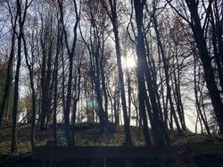  <a style='color: #fff;' href='/uploaded/photo/affoux-69160a984d10f.jpg'>(Télécharger)</a>