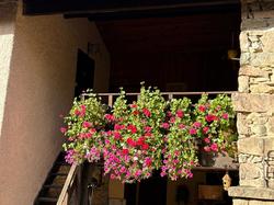  <a style='color: #fff;' href='/uploaded/photo/affoux-691611a431f16.jpg'>(Télécharger)</a>