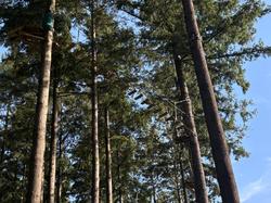  <a style='color: #fff;' href='/uploaded/photo/affoux-691611a548b74.jpg'>(Télécharger)</a>