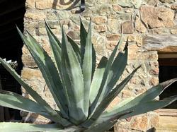  <a style='color: #fff;' href='/uploaded/photo/affoux-691611a54cdbf.jpg'>(Télécharger)</a>