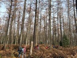  <a style='color: #fff;' href='/uploaded/photo/affoux-691611a557cbb.jpg'>(Télécharger)</a>