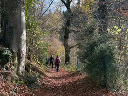  <a style='color: #fff;' href='/uploaded/photo/affoux-691611a55f2a6.jpg'>(Télécharger)</a>