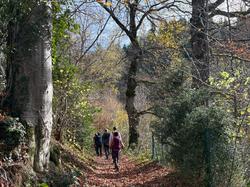  <a style='color: #fff;' href='/uploaded/photo/affoux-691611a5635f7.jpg'>(Télécharger)</a>