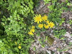  <a style='color: #fff;' href='/uploaded/photo/albigny-6629208a96e31.jpg'>(Télécharger)</a>