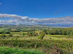  <a style='color: #fff;' href='/uploaded/photo/alix-670020d3219f6.jpg'>(Télécharger)</a>