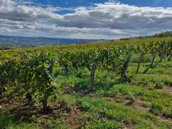  <a style='color: #fff;' href='/uploaded/photo/alix-670020d38770b.jpg'>(Télécharger)</a>