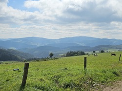  <a style='color: #fff;' href='/uploaded/photo/amplepluis-66ec722d78c59.jpg'>(Télécharger)</a>