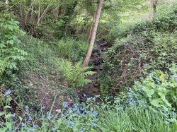  <a style='color: #fff;' href='/uploaded/photo/arbuisonnas-661fd47ec59a6.jpg'>(Télécharger)</a>