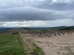  <a style='color: #fff;' href='/uploaded/photo/arbuisonnas-661fd4c533533.jpg'>(Télécharger)</a>