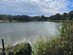  <a style='color: #fff;' href='/uploaded/photo/autour-des-y-tngs-de-monthieux-66e29affd14b3.jpg'>(Télécharger)</a>