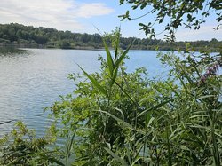  <a style='color: #fff;' href='/uploaded/photo/autour-des-y-tngs-de-monthieux-66e29affd3989.jpg'>(Télécharger)</a>