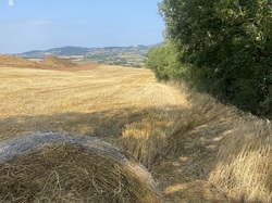  <a style='color: #fff;' href='/uploaded/photo/belle-journy-e-autour-d-aoeveux-64b7fa7ede59b.jpg'>(Télécharger)</a>