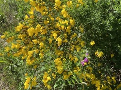  <a style='color: #fff;' href='/uploaded/photo/belle-rando-a-monmelas-6452a23284a4a.jpg'>(Télécharger)</a>