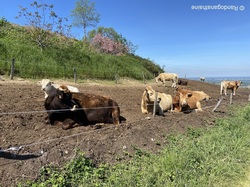  <a style='color: #fff;' href='/uploaded/photo/belle-rando-a-monmelas-6452a2b39ca6a.jpg'>(Télécharger)</a>