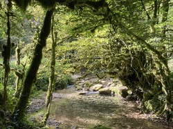  <a style='color: #fff;' href='/uploaded/photo/belle-rando-y-cerdon-64ddb90faeb71.jpg'>(Télécharger)</a>