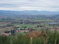  <a style='color: #fff;' href='/uploaded/photo/bois-de-chasselay-65e6d7b46b633.jpg'>(Télécharger)</a>