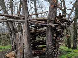  <a style='color: #fff;' href='/uploaded/photo/bois-de-chasselay-65e6d7b46f3cb.jpg'>(Télécharger)</a>