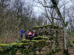  <a style='color: #fff;' href='/uploaded/photo/bois-de-chasselay-65e6d7b49f500.jpg'>(Télécharger)</a>