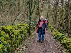  <a style='color: #fff;' href='/uploaded/photo/bois-de-chasselay-65e6d7b4d5016.jpg'>(Télécharger)</a>