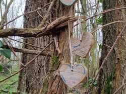  <a style='color: #fff;' href='/uploaded/photo/bois-de-chasselay-65e6d7b4d5f5a.jpg'>(Télécharger)</a>