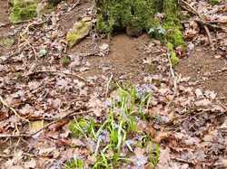  <a style='color: #fff;' href='/uploaded/photo/bois-de-chasselay-65e6d7b4f2cb8.jpg'>(Télécharger)</a>