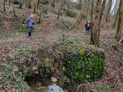  <a style='color: #fff;' href='/uploaded/photo/bois-de-chasselay-65e6d7b5054a6.jpg'>(Télécharger)</a>