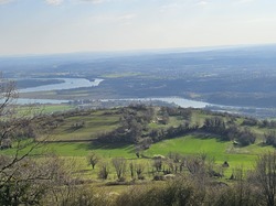  <a style='color: #fff;' href='/uploaded/photo/bouis-69bc414fa9743.jpg'>(Télécharger)</a>