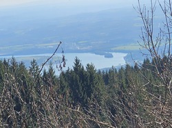  <a style='color: #fff;' href='/uploaded/photo/bouis-69bc41518be69.jpg'>(Télécharger)</a>