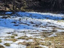  <a style='color: #fff;' href='/uploaded/photo/bouis-69bc416030d66.jpg'>(Télécharger)</a>