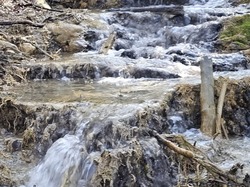  <a style='color: #fff;' href='/uploaded/photo/bouis-69bc4163a7f86.jpg'>(Télécharger)</a>