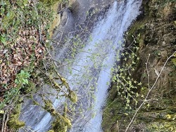  <a style='color: #fff;' href='/uploaded/photo/bouis-69bc4172bc1d4.jpg'>(Télécharger)</a>