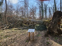  <a style='color: #fff;' href='/uploaded/photo/bouis-69bc4172c30e7.jpg'>(Télécharger)</a>