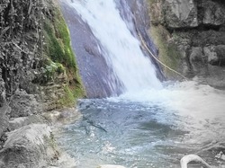  <a style='color: #fff;' href='/uploaded/photo/bouis-69bc4176506ce.jpg'>(Télécharger)</a>