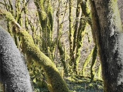  <a style='color: #fff;' href='/uploaded/photo/bouis-69bc41854ac82.jpg'>(Télécharger)</a>