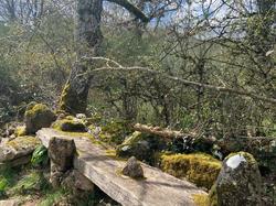  <a style='color: #fff;' href='/uploaded/photo/chaintr-67e585c7aa33a.jpg'>(Télécharger)</a>