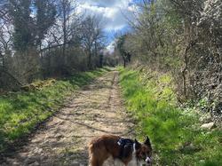  <a style='color: #fff;' href='/uploaded/photo/chaintr-67e585c7c37e8.jpg'>(Télécharger)</a>