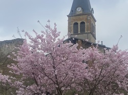  <a style='color: #fff;' href='/uploaded/photo/chaintr-67e58850116ba.jpg'>(Télécharger)</a>