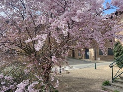  <a style='color: #fff;' href='/uploaded/photo/chaintr-67e588512b51f.jpg'>(Télécharger)</a>