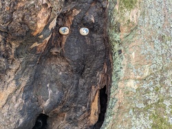  <a style='color: #fff;' href='/uploaded/photo/chaintr-67e589afa72a0.jpg'>(Télécharger)</a>