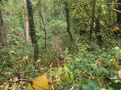  <a style='color: #fff;' href='/uploaded/photo/chasselay-13-kms-440m-soleil-au-rdv-68efdbd675577.jpg'>(Télécharger)</a>