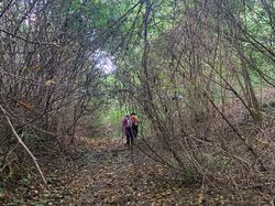  <a style='color: #fff;' href='/uploaded/photo/chasselay-13-kms-440m-soleil-au-rdv-68efdbfa28e37.jpg'>(Télécharger)</a>