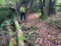  <a style='color: #fff;' href='/uploaded/photo/chasselay-13-kms-440m-soleil-au-rdv-68efdc44bfcad.jpg'>(Télécharger)</a>